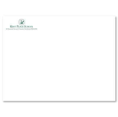 Picture of 9.5x12.625 Envelope (Economy)